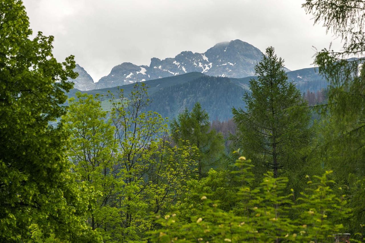 Rent Like Home - Bulwary III Zakopane Kültér fotó